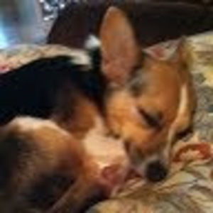 Meet your Posher, Margaret